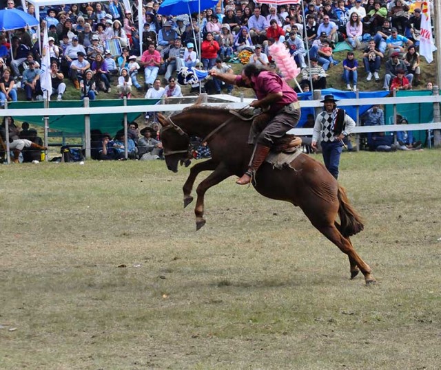 festival-minas-y-abril