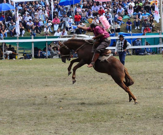 El Festival Minas y Abril